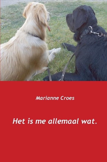 Afbeelding van Het is me allemaal wat
