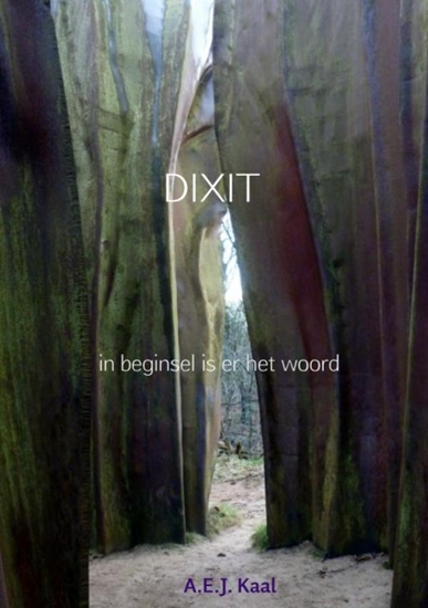 Afbeelding van Dixit