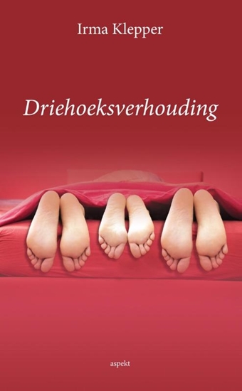 Afbeelding van Driehoeksverhouding