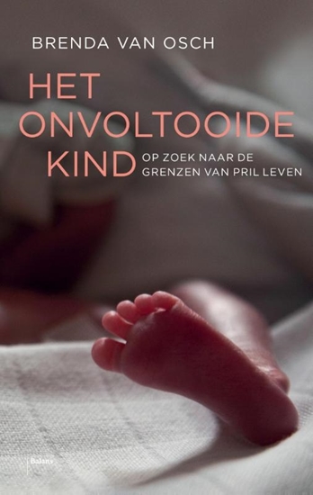 Afbeelding van Het onvoltooide kind