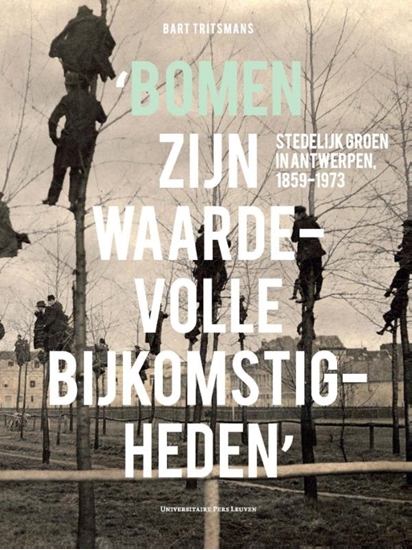 Afbeelding van 'Bomen zijn waardevolle bijkomstigheden'
