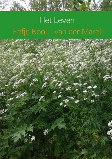 Afbeelding van Het leven