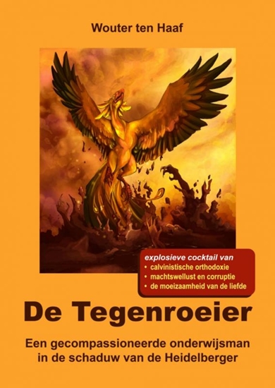 Afbeelding van De Tegenroeier