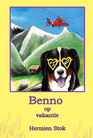 Afbeelding van Benno de Berner Sennenhond Benno op vakantie