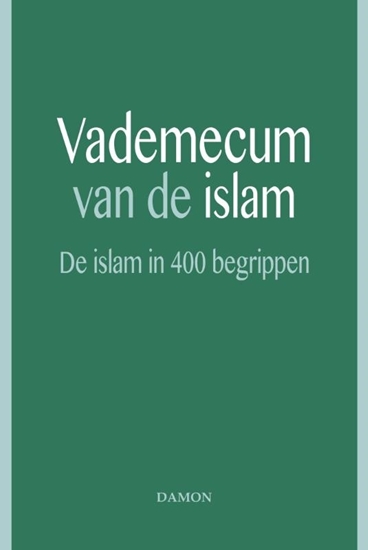 Afbeelding van Vademecum van de islam