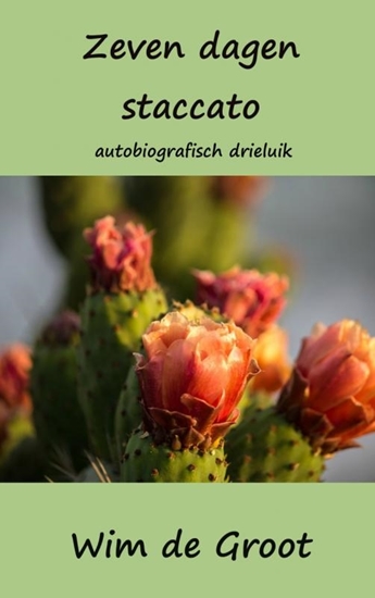 Afbeelding van Zeven dagen staccato