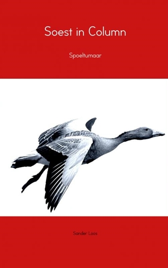 Afbeelding van Soest in column