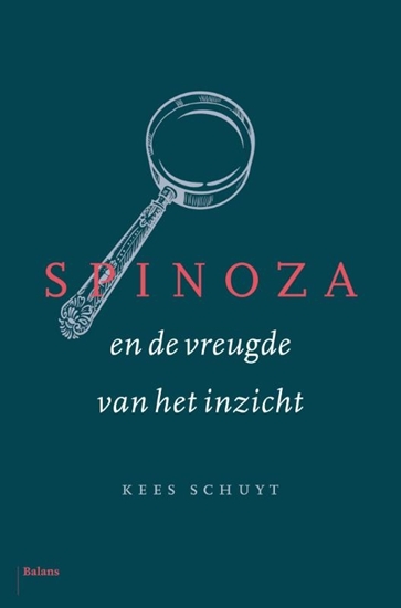 Afbeelding van Spinoza en de vreugde van het inzicht