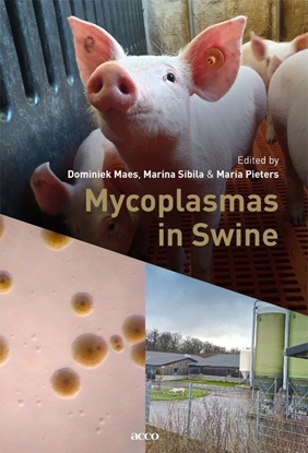 Afbeeldingen van Mycoplasmas in Swine