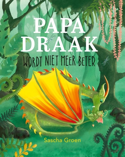 Afbeelding van Papa Draak wordt niet meer beter