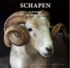 Afbeelding van Schapen in de weiden van de lage landen