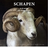 Afbeelding van Schapen in de weiden van de lage landen