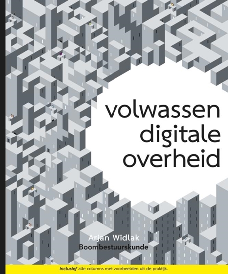Afbeelding van Volwassen digitale overheid