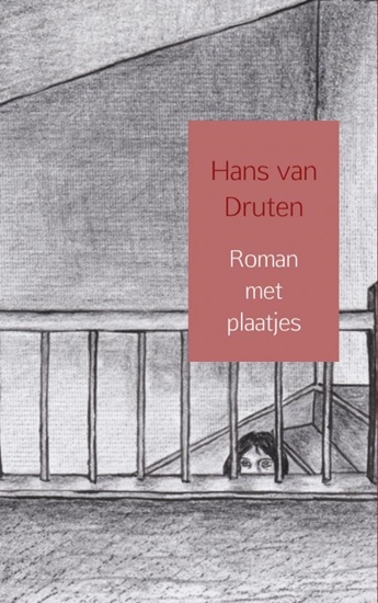 Afbeelding van Roman met plaatjes