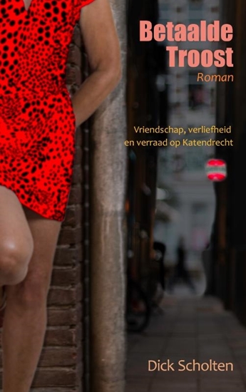 Afbeelding van Betaalde troost