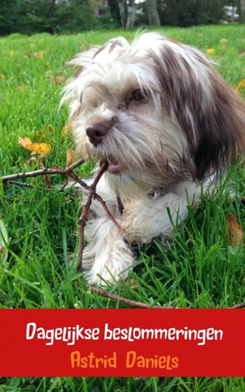 Afbeelding van Dagelijkse beslommeringen