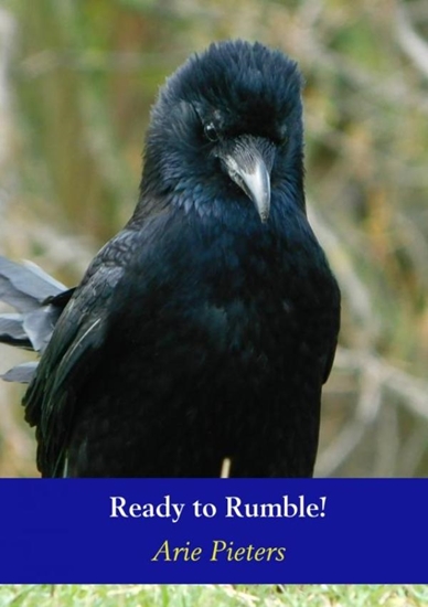 Afbeelding van Ready to Rumble!