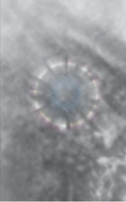 Afbeeldingen van Varen met de tijdgeuzen