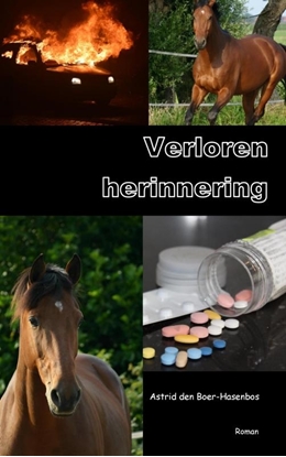 Afbeeldingen van Verloren herinnering