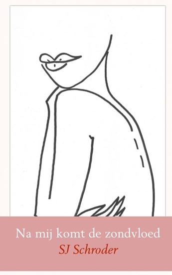 Afbeelding van Na mij komt de zondvloed