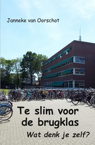 Afbeelding van Te slim voor de brugklas