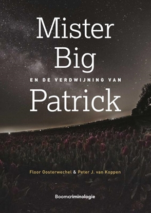 Afbeeldingen van Mister Big en de verdwijning van Patrick