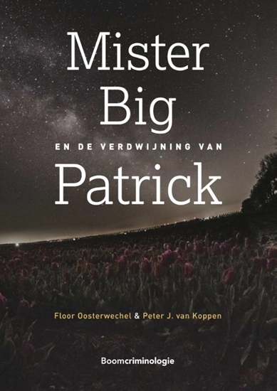 Afbeelding van Mister Big en de verdwijning van Patrick