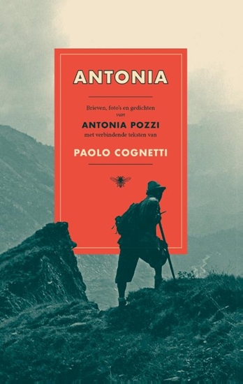 Afbeelding van Antonia