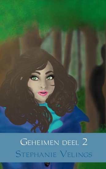 Afbeelding van Geheimen 2