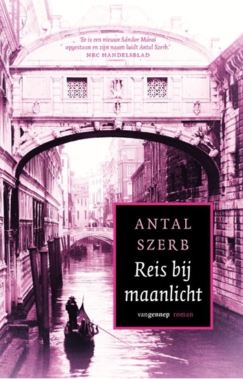 Afbeelding van Reis bij maanlicht