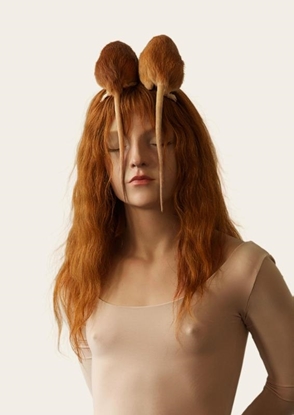 Afbeeldingen van Silvia B.