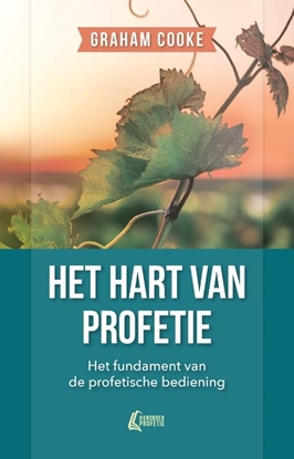 Afbeeldingen van Handboek Profetie Het hart van profetie