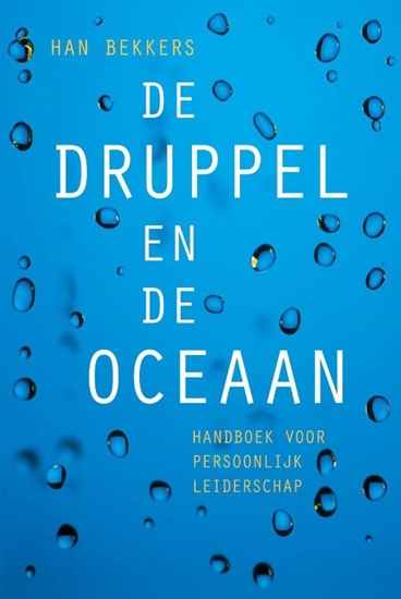 Afbeelding van De druppel en de oceaan