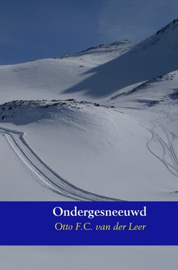 Afbeelding van Ondergesneeuwd