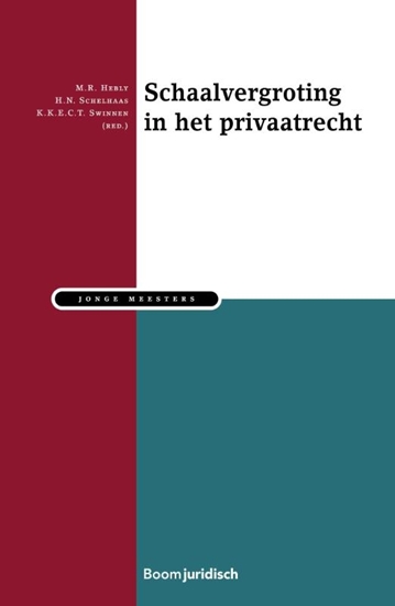Afbeelding van Jonge meesters Schaalvergroting in het Privaatrecht