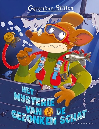 Afbeelding van Het mysterie van de gezonken schat