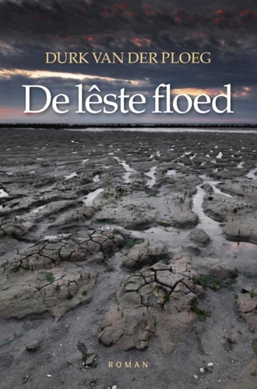 Afbeelding van De lêste floed