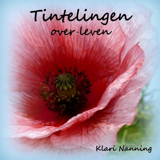Afbeelding van Tintelingen