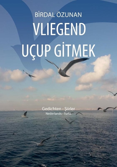 Afbeelding van Vliegend uçup gitmek