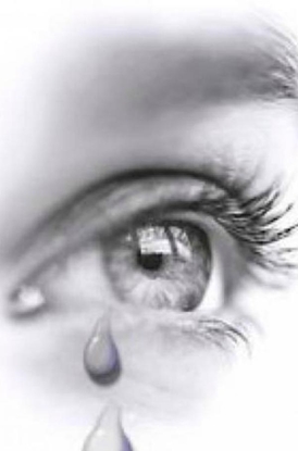 Afbeeldingen van Dit geloof je toch niet!