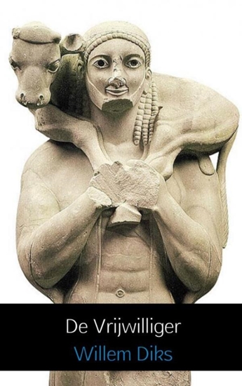 Afbeelding van De vrijwilliger
