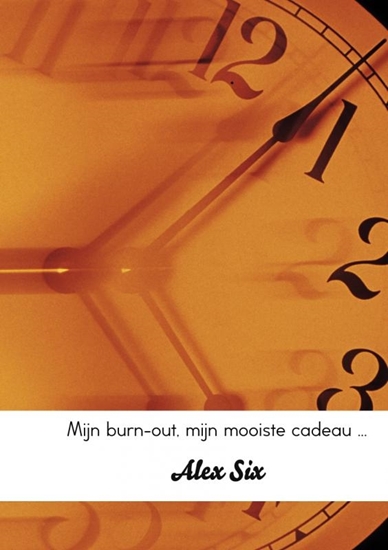 Afbeelding van Mijn burn-out, mijn mooiste cadeau ...
