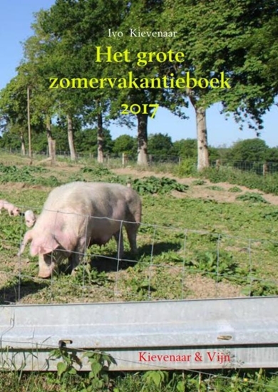 Afbeelding van Het grote zomervakantieboek 2017