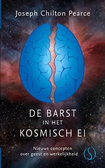 Afbeelding van De barst in het kosmische ei