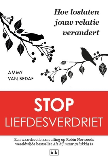Afbeelding van Stop liefdesverdriet