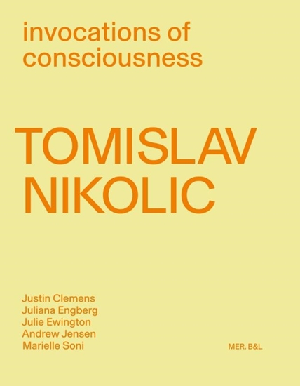 Afbeelding van Tomislav Nikolic. Invocations of consciousness