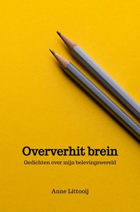 Afbeeldingen van Oververhit brein