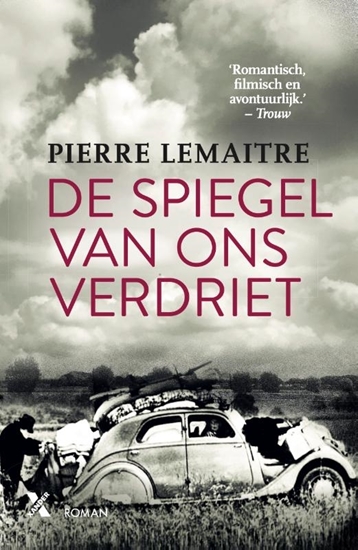 Afbeelding van De spiegel van ons verdriet