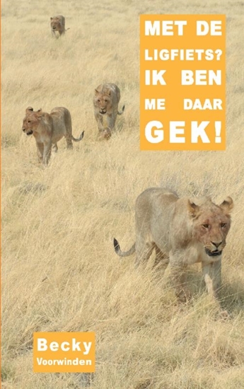 Afbeelding van Met de ligfiets? Ik ben me daar gek!