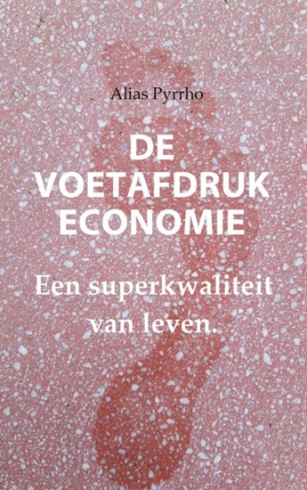 Afbeelding van DE VOETAFDRUK ECONOMIE